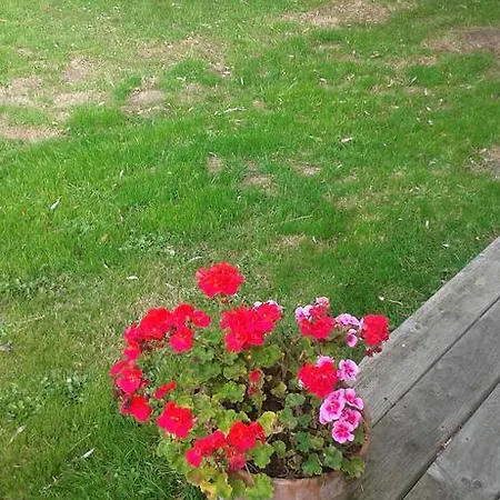 La Cour Des Roses